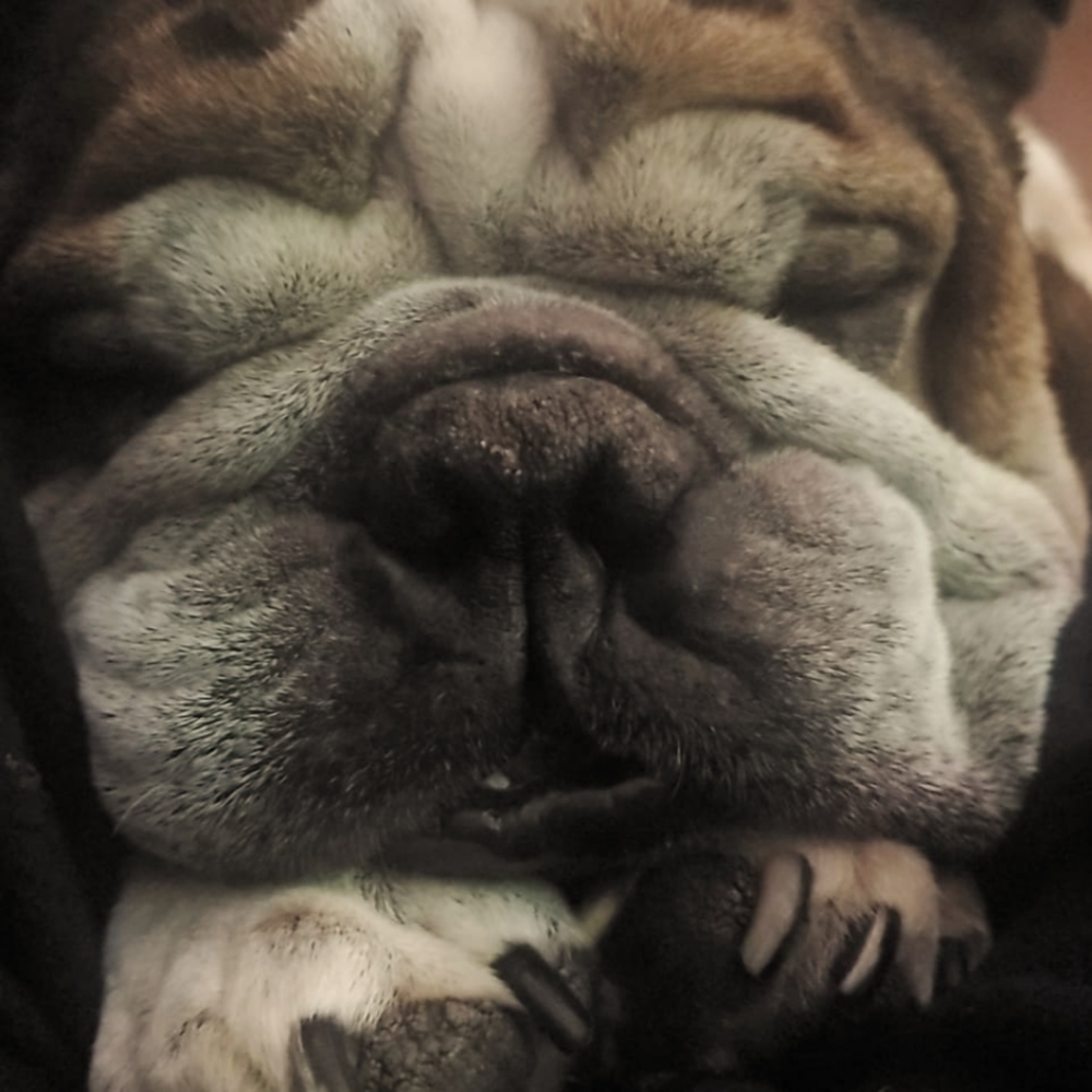 Meet your Posher, Christy